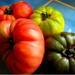 Tomatoes