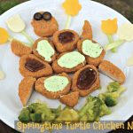 Spring Turtle