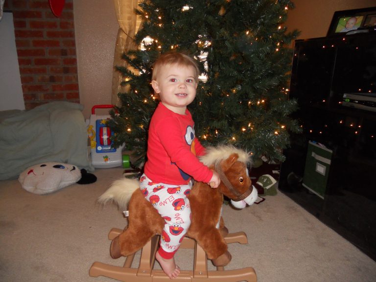 Rockin' Rider Rocking Horse - A Mom's Impression | Recipes, Crafts ...