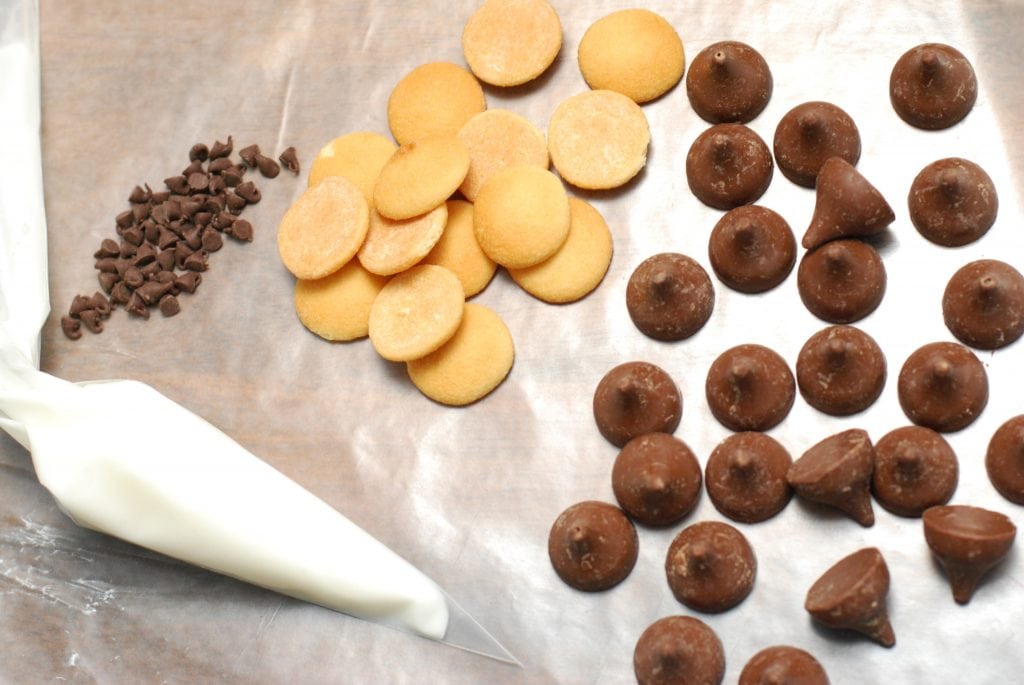 Ingredients to learn How to Make candy acorns