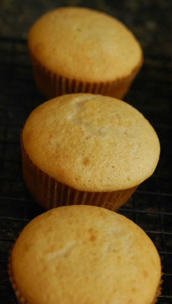 snickerdoodle cupcakes recipe