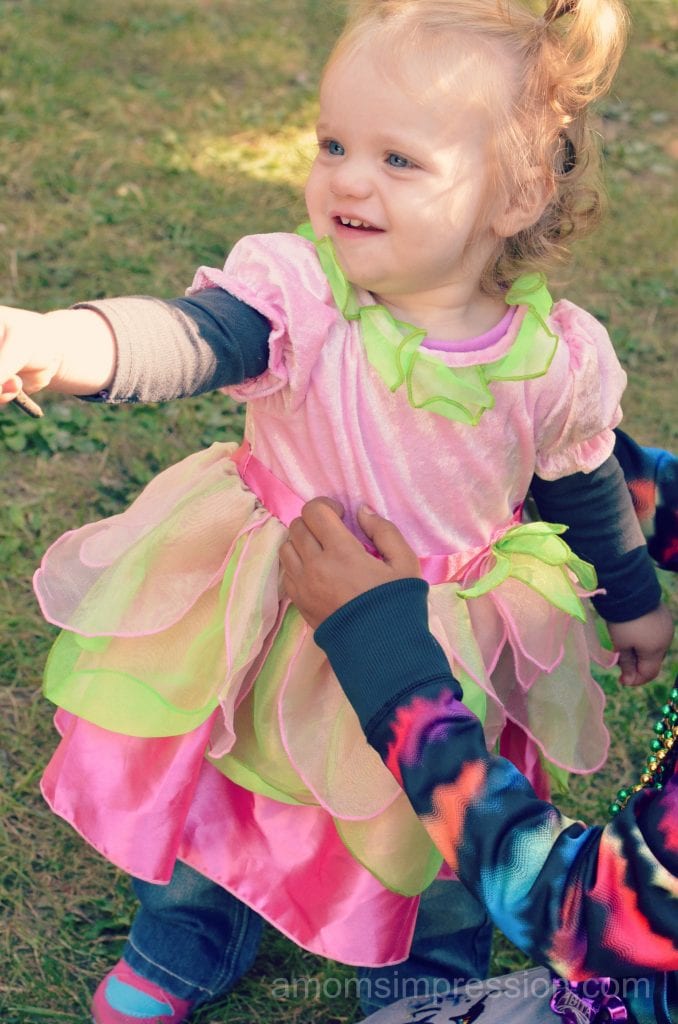 Fairy Costume