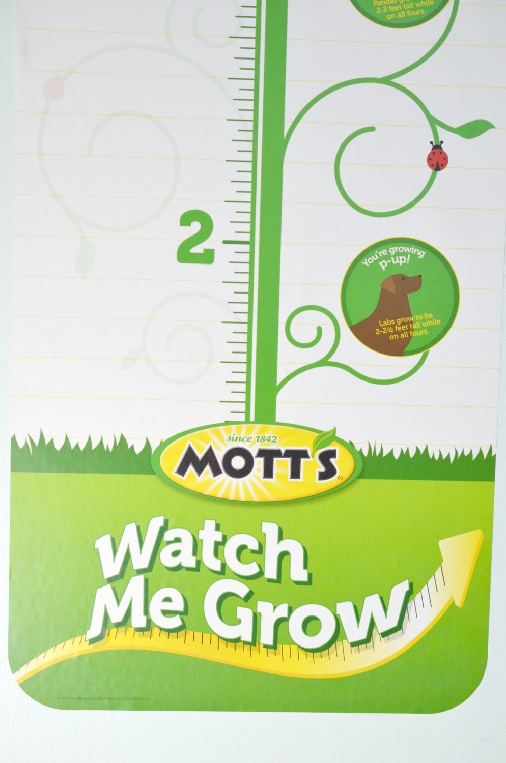 Watch Me Grow Growth Chart