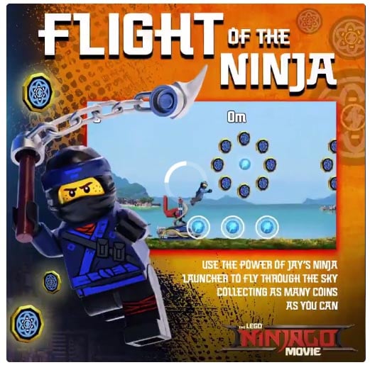 Flight of THE NINJA