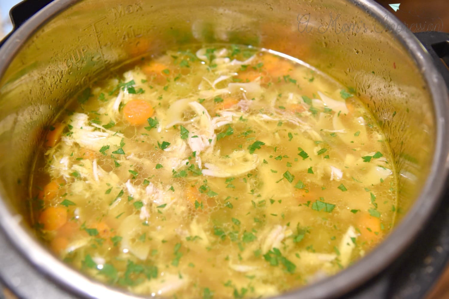 Instant Pot chicken noodle Soup