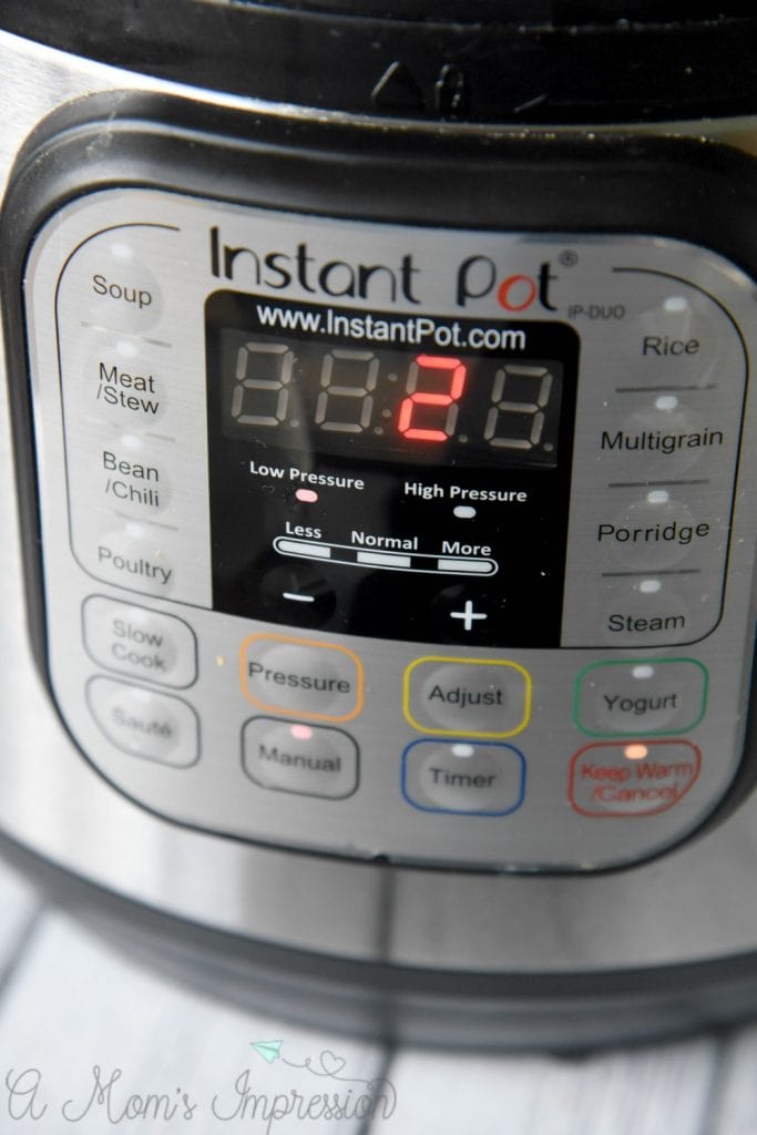 15 Easy Instant Pot Recipes for Beginners - A Mom's Impression