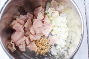 Saute Chicken, onions and garlic