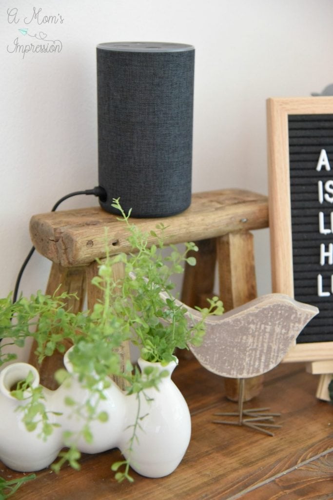 Alexa's features picture