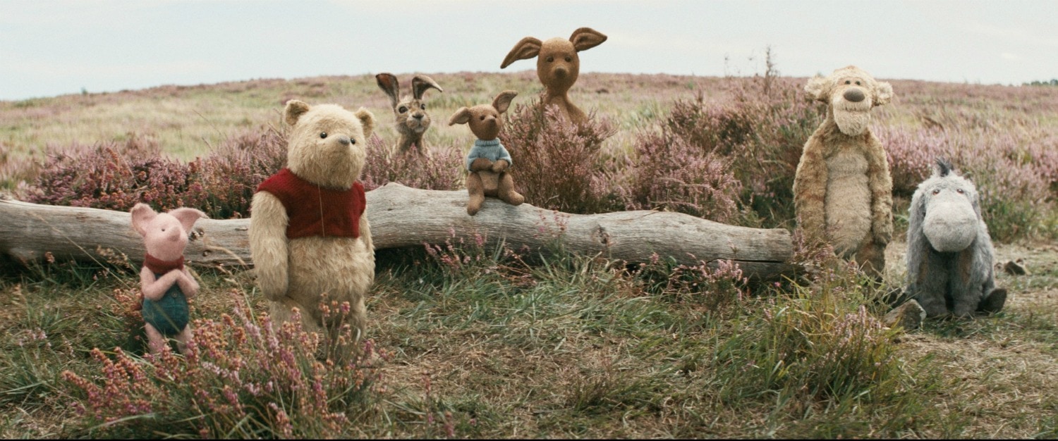 The Hundred Acre Woods Gang