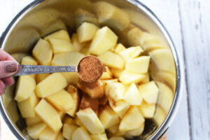 Adding Cinnamon to Instant Pot Applesauce