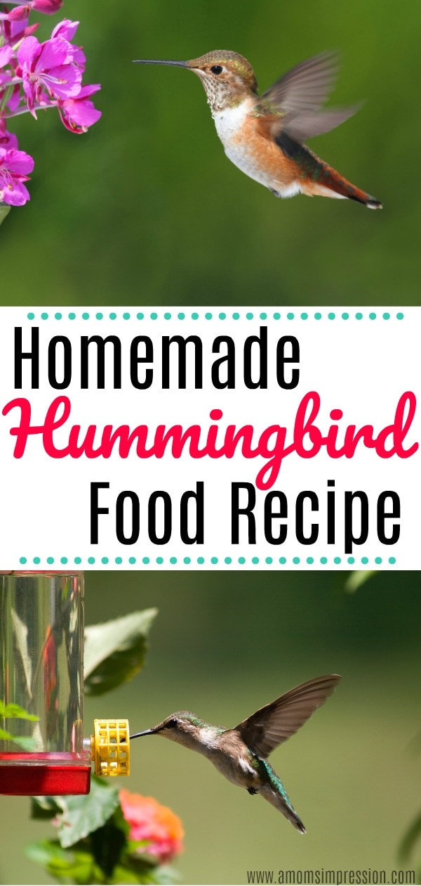 DIY Hummingbird Food