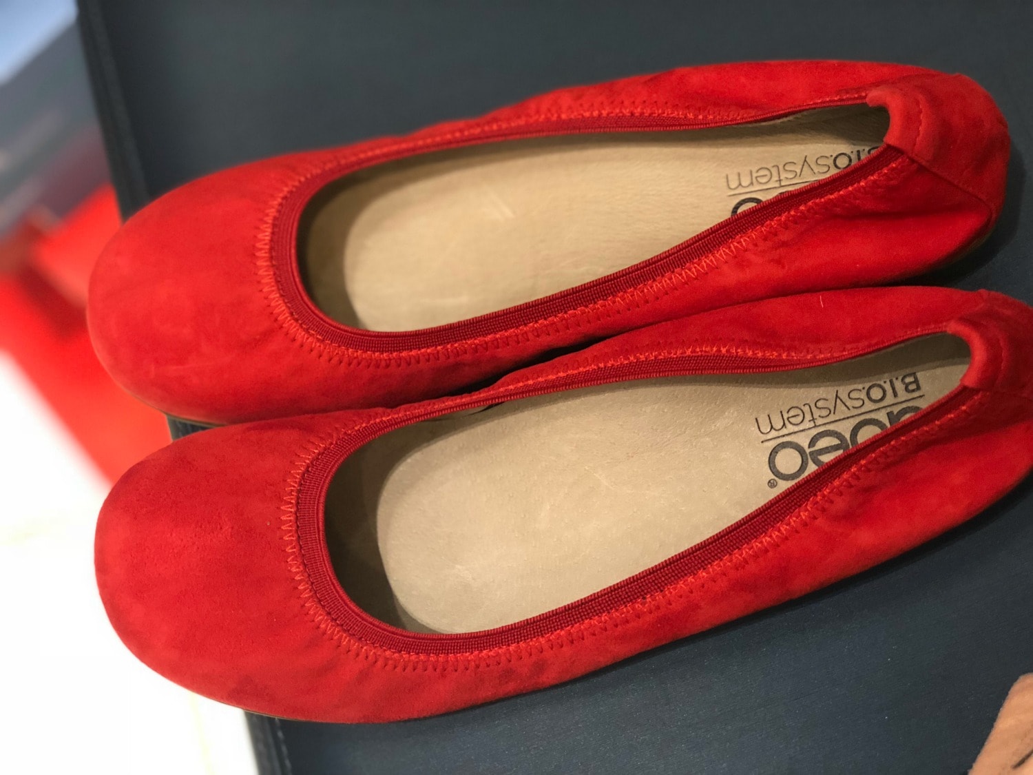 abeo ballet flats