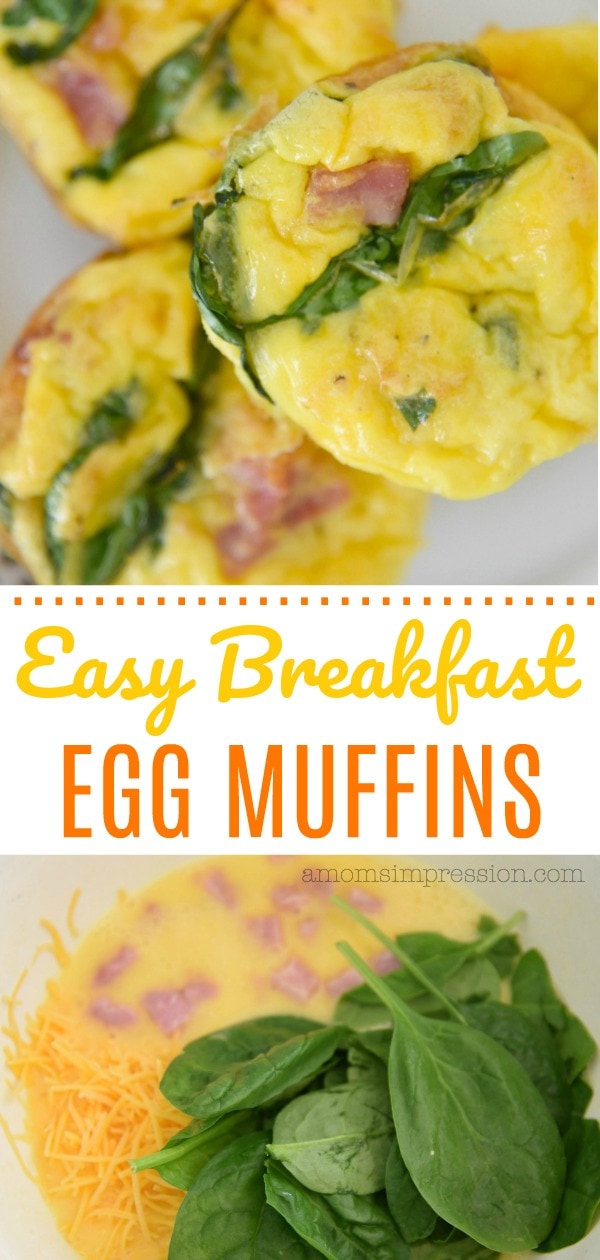 egg muffin recipe