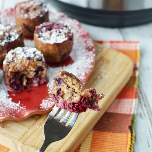 Instant Pot Oatmeal Bites