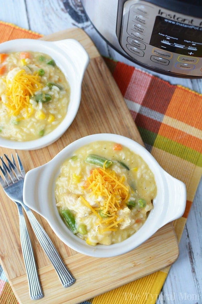 25 Easy Instant Pot Dump and Go Recipes A Mom's Impression