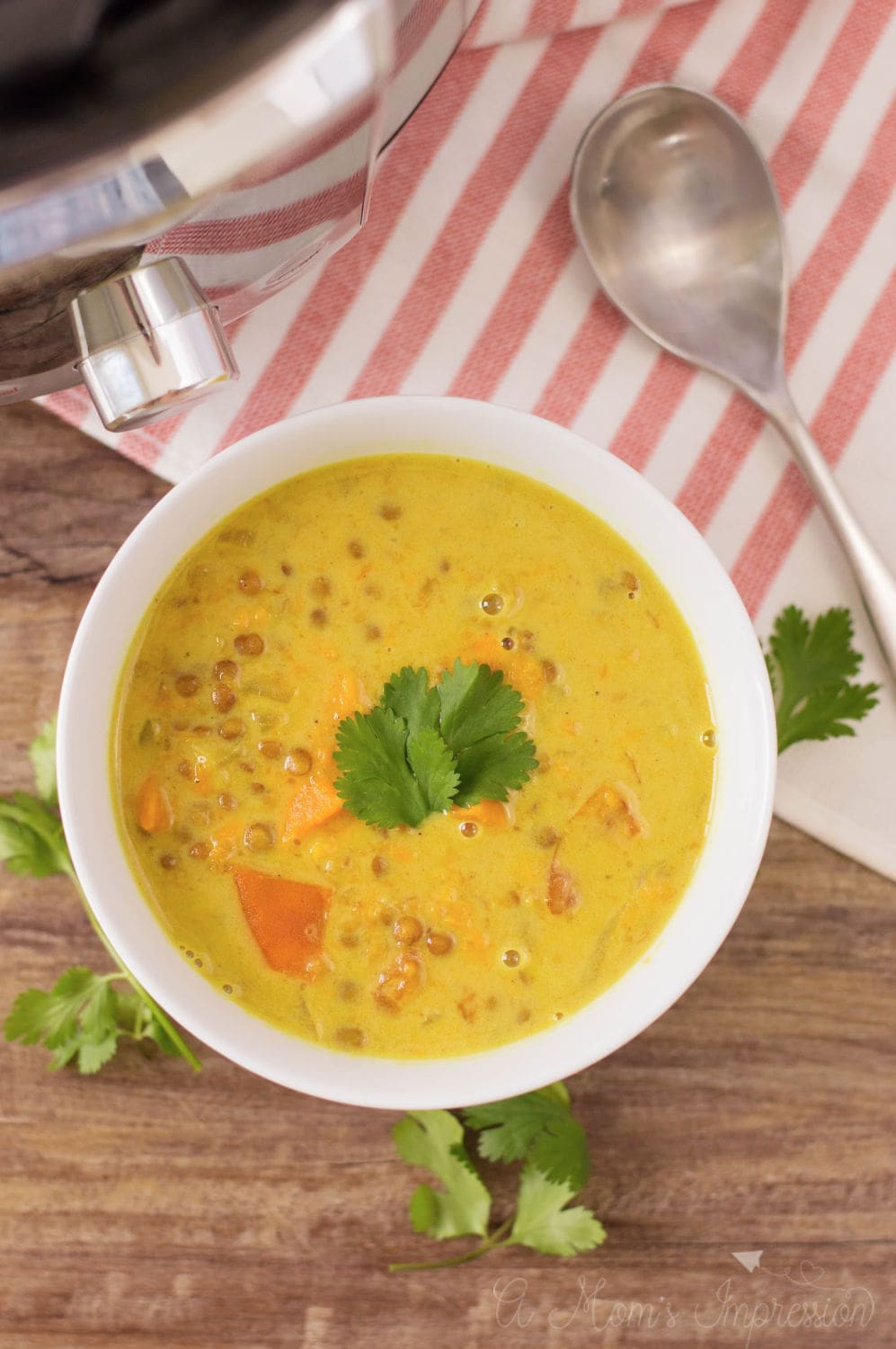 An overhead shot of a bowl of instant pot lentil curry