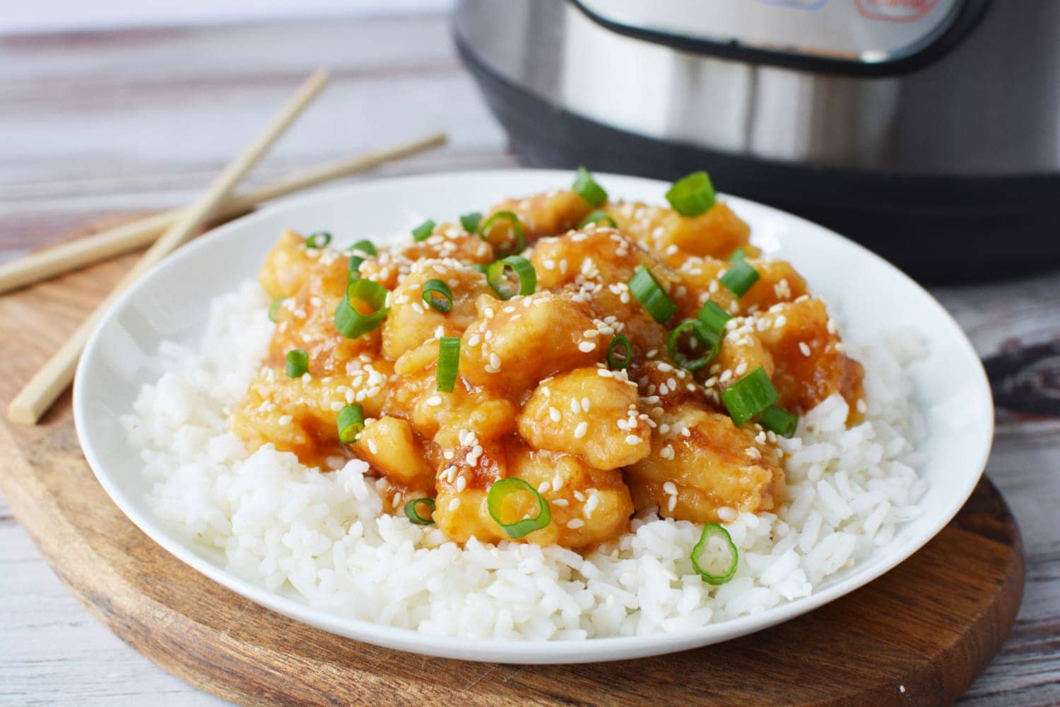 Rice Cooker Ginger Chicken and Rice - Mochi Mommy